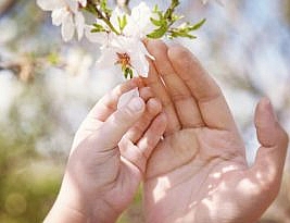 کجا بجز کنار عشق جهان کمی قشنگ شد؟