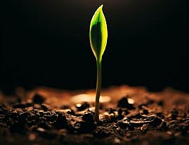 هفت پرده‌یِ عشق